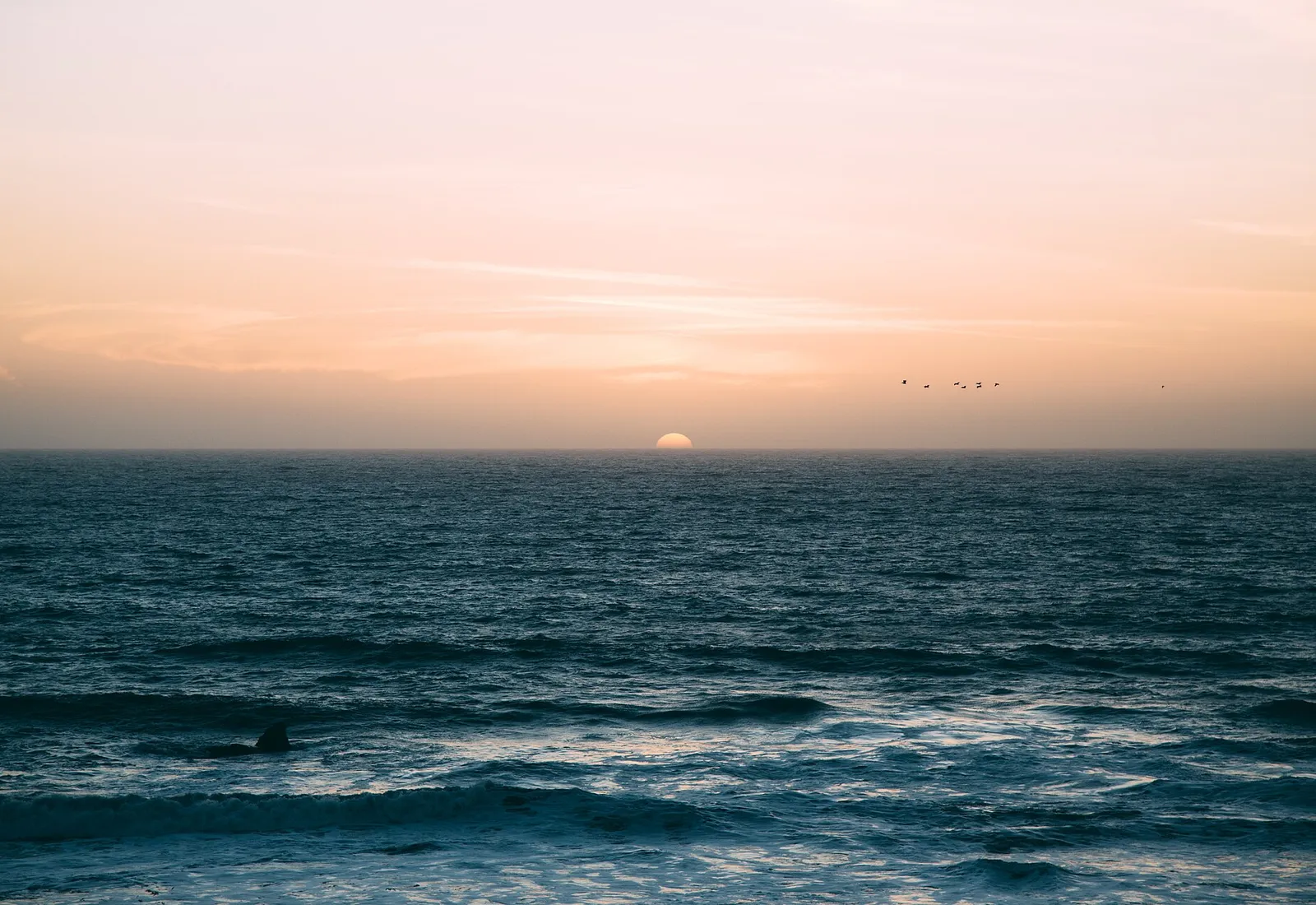 The sea horizon at dawn